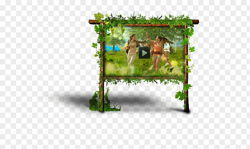 Tree Picture Frames PNG
