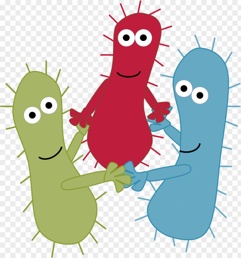 Cartoon Expression Quorum Sensing Bacteria Biofilm Infection PNG