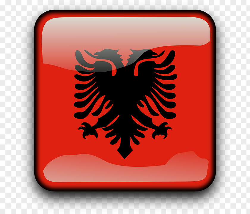 Flag Of Albania Kazakhstan Albanian PNG
