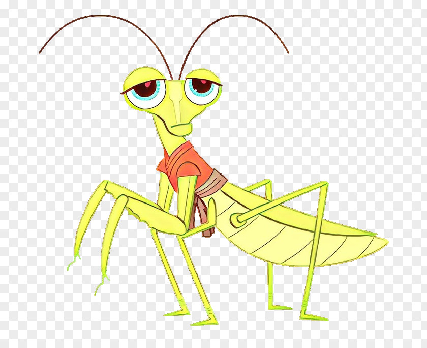 Insect Mantidae Grasshopper Cartoon Mantis PNG