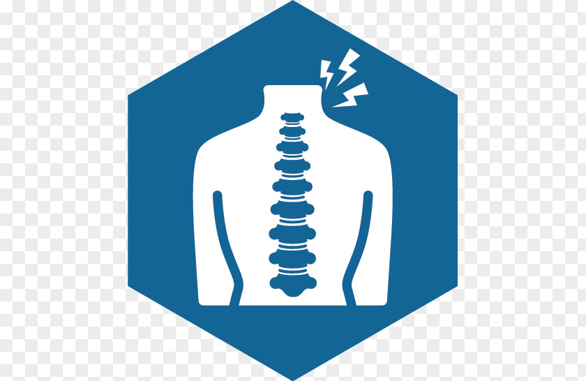 Neck Pain Radiculopathy Logo Cervical Vertebrae Q Spine Institute Vertebral Column PNG