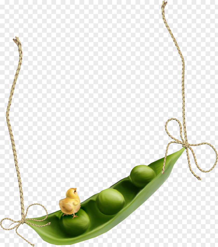 Picture Snow Pea Mung Bean Green Vegetable PNG