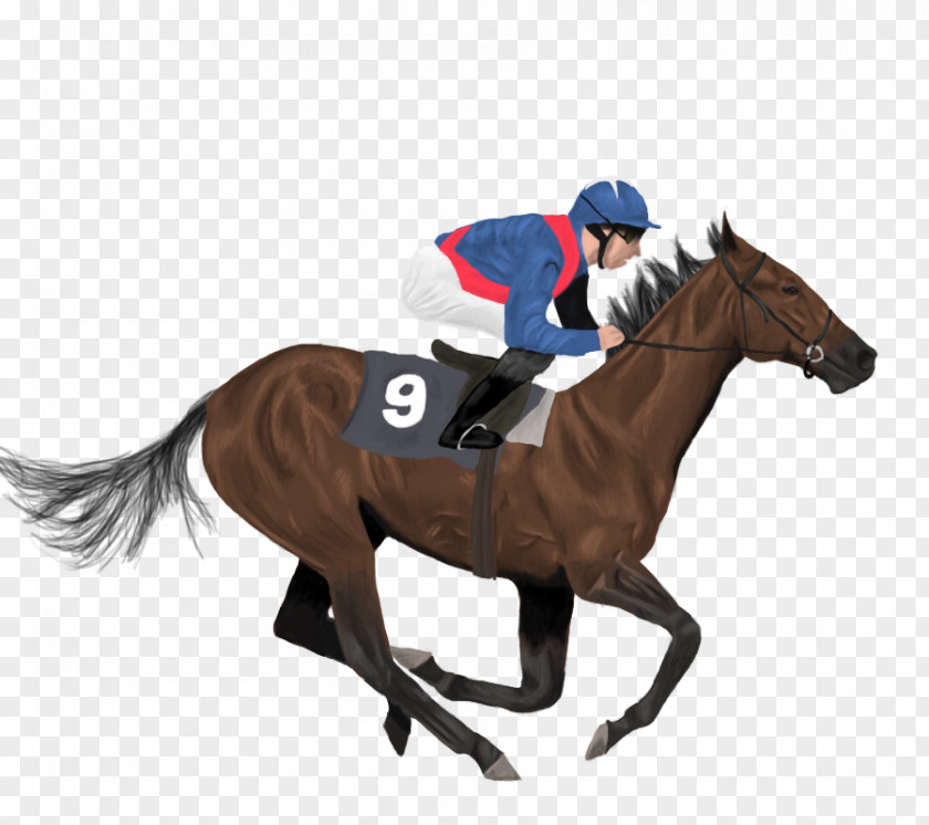 Runner Icelandic Horse Jockey Racing PNG