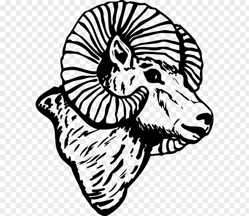 Sheep Clip Art Ram Trucks Drawing Image PNG