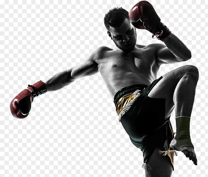 Boxing Punching & Training Bags Muay Thai Kickboxing PNG