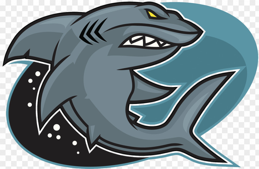 Cartoon Evil White Shark Great Red Triangle Illustration PNG