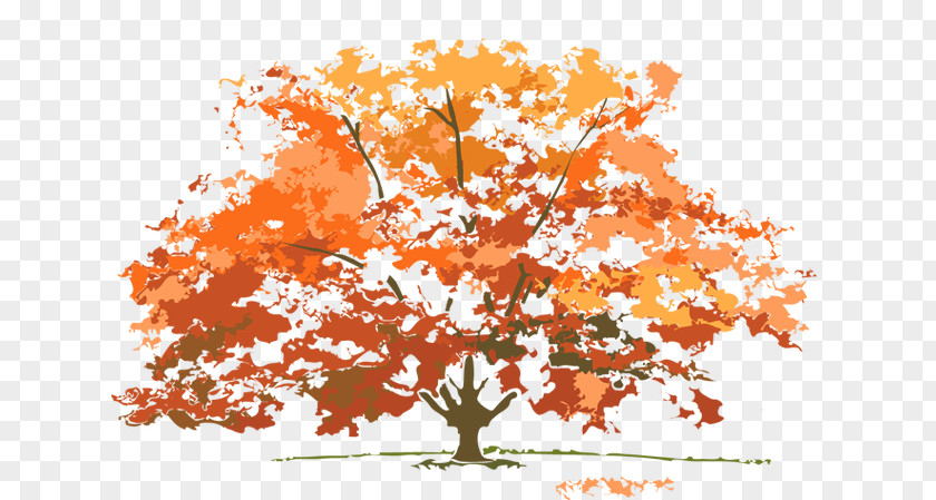 Fall Tree Clipartsr Four Seasons Hotels And Resorts Winter Autumn Clip Art PNG