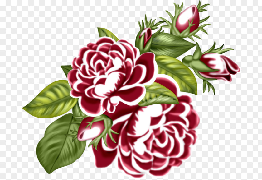 Flower Garden Roses Bouquet Floral Design Cut Flowers PNG