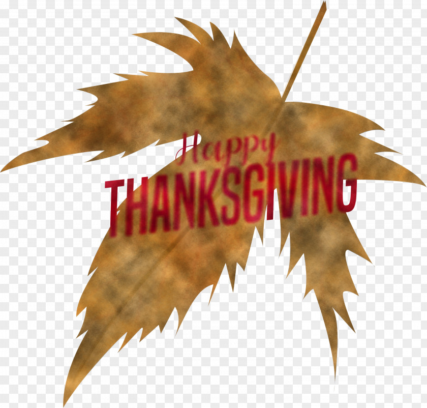 Happy Thanksgiving PNG