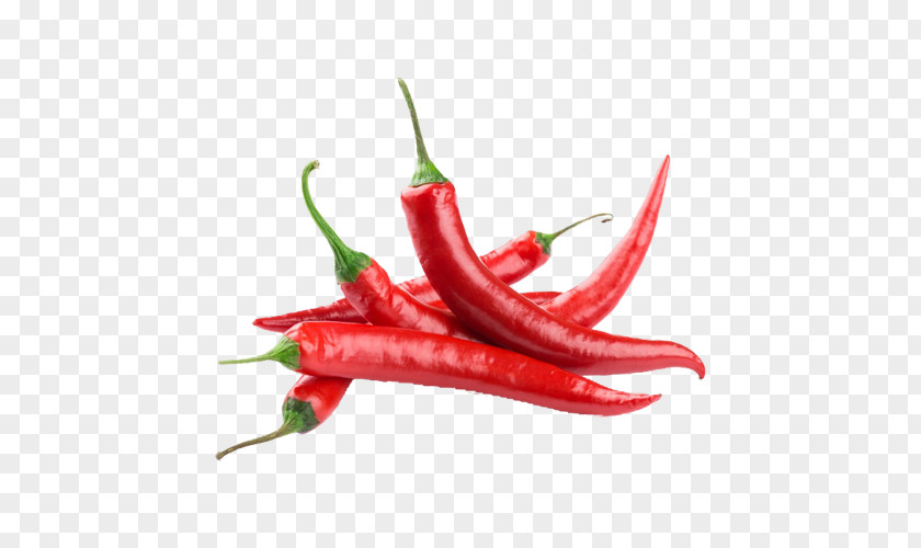 Red Chili PNG chili clipart PNG
