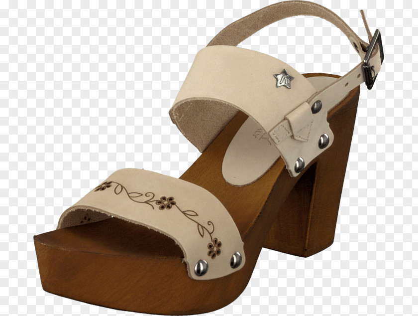 Sandal Slipper High-heeled Shoe Clothing PNG