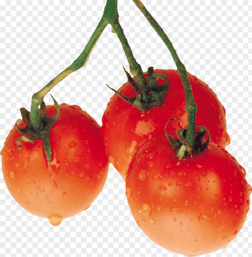 Tomato Image Plum PhotoScape PNG