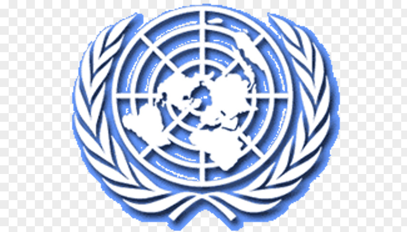 United States Model Nations Organization Department Of Peacekeeping Operations PNG