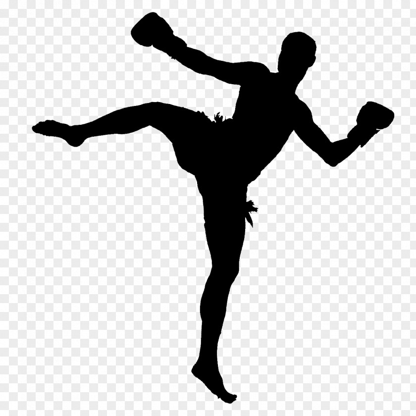 Wuxing Muay Thai Kickboxing Combat Sport World Professional Muaythai Federation PNG