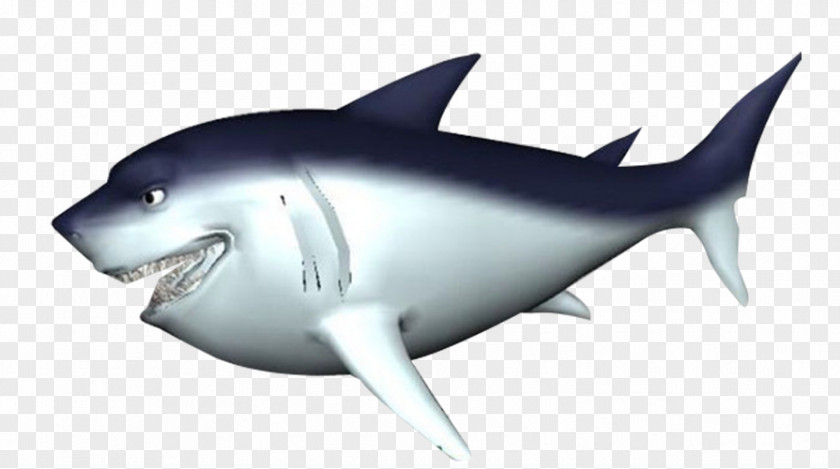 Cartoon White Shark Great Fish PNG