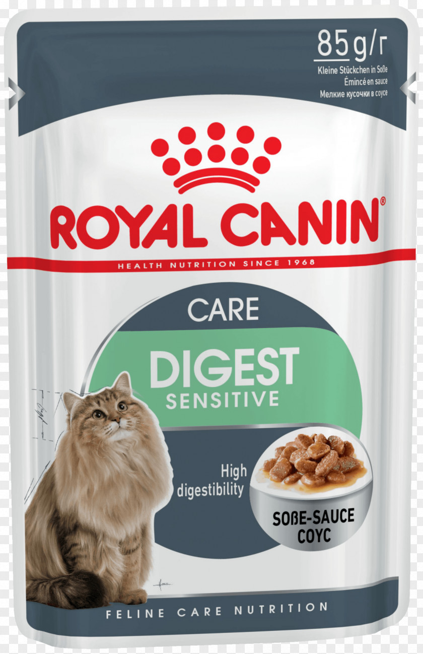 Cat Food Dog Royal Canin Pet PNG