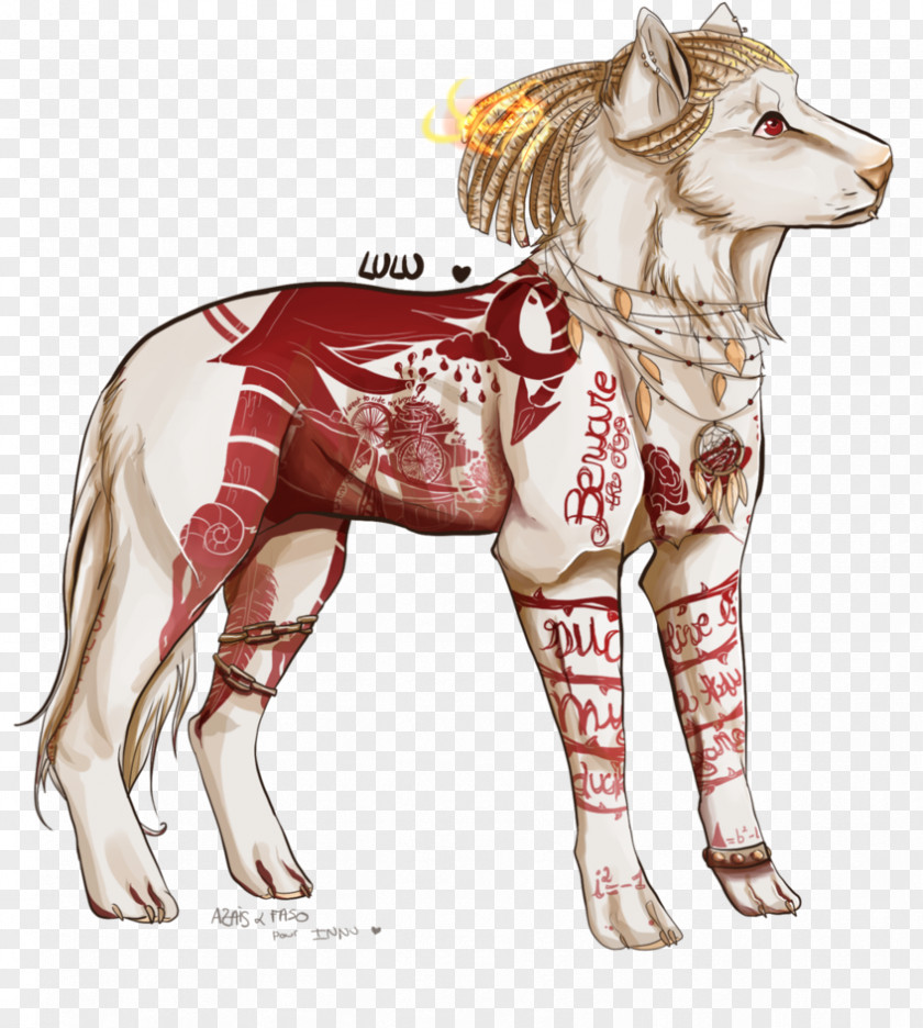 Dog Breed Clothes Tail PNG