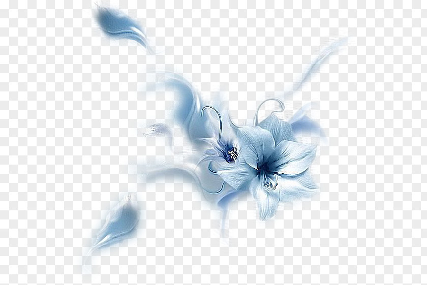 Flower Angel Tears Quotation Sadness Life Love PNG