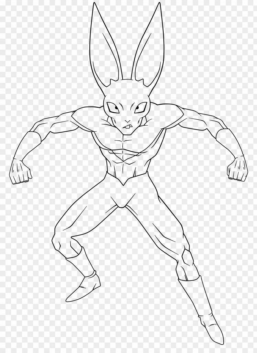 Kale Drawing Domestic Rabbit Line Art Hare PNG