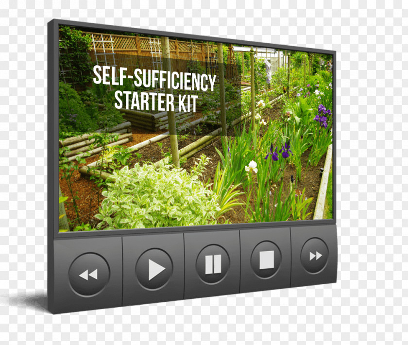 Live Screening Self-sufficiency Multimedia Computer Monitors N Invest Real Estate Display Device PNG