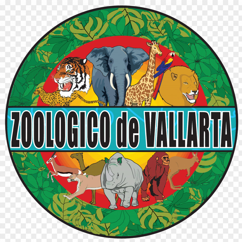 Peafowl Puerto Vallarta Mismaloya Zoologico De AC Zoo PNG