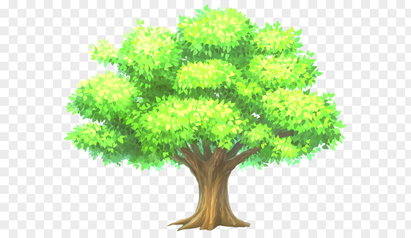 Tree Vector Graphics Clip Art Illustration Drawing PNG