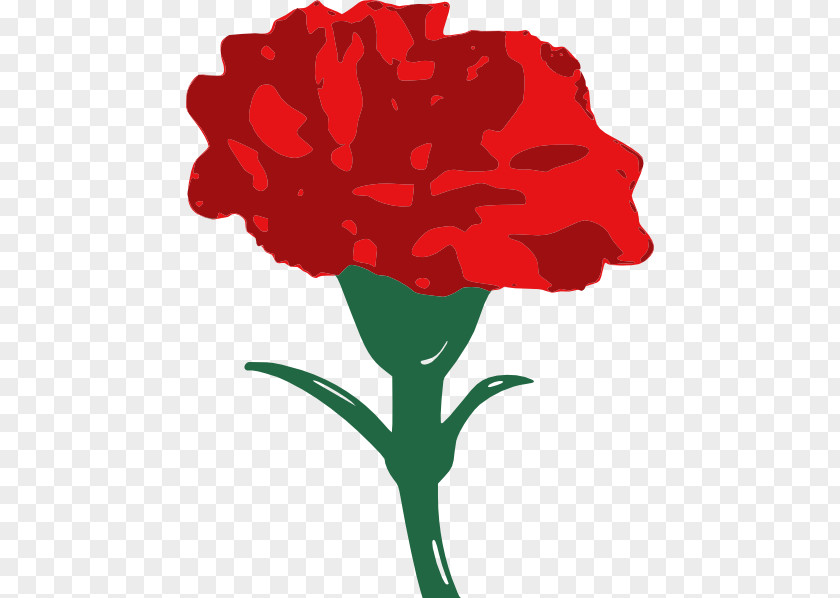 Carnation Cliparts Drawing Red Clip Art PNG