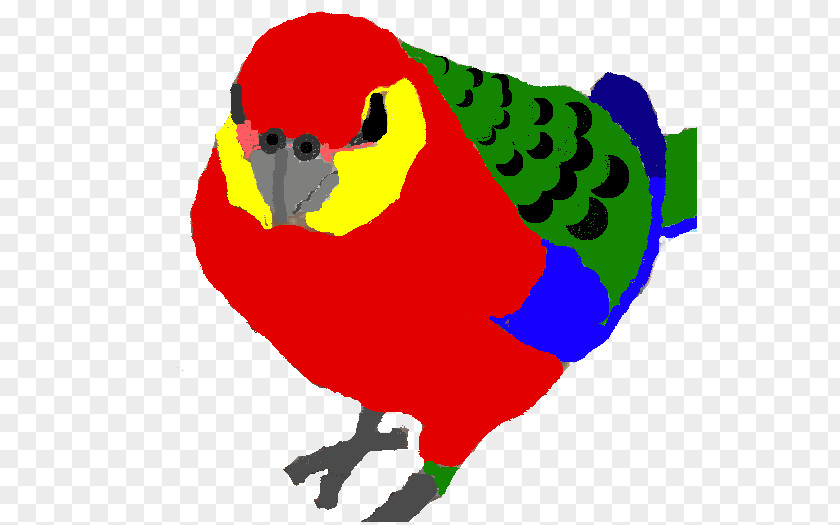 Macaw Loriini Parakeet Beak Clip Art PNG