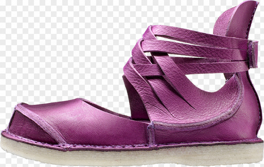 Mesh Shoe Footwear Sandal Patten Mary Jane PNG