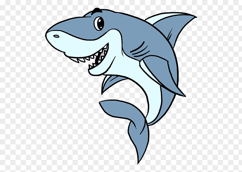 Sharks Great White Shark Drawing PNG