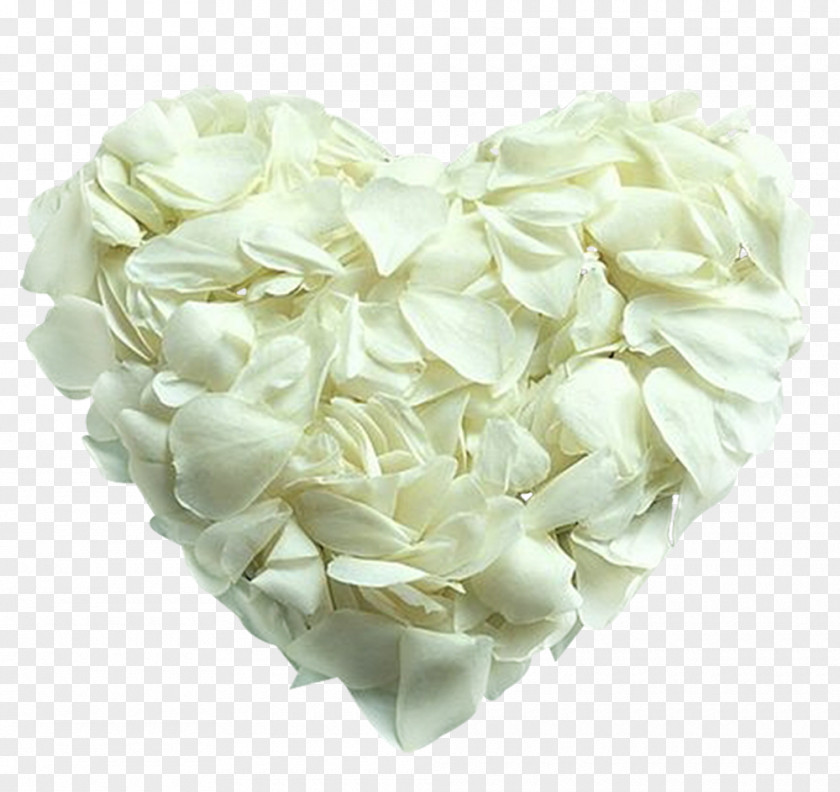 White Roses Desktop Wallpaper Heart Valentine's Day Rose PNG