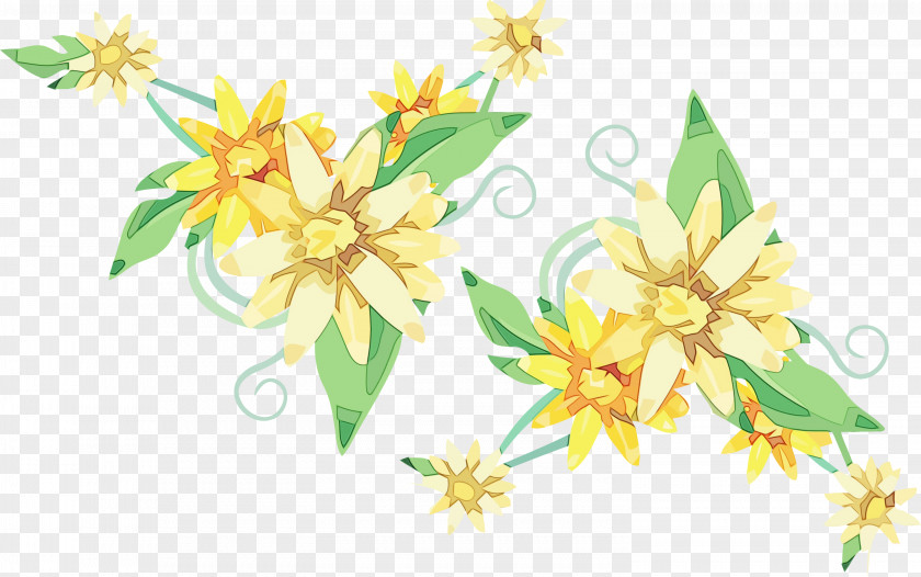 Floral Design PNG