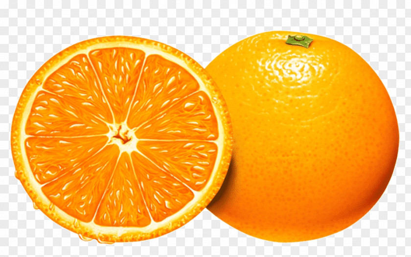 Grapefruits Fruit Clip Art PNG