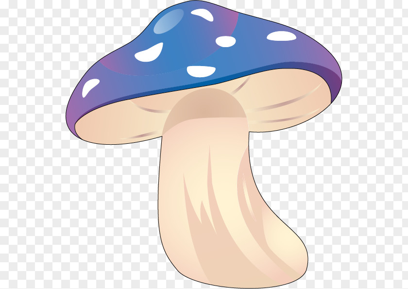 Mushroom Amanita Muscaria Common Fungus Clip Art PNG