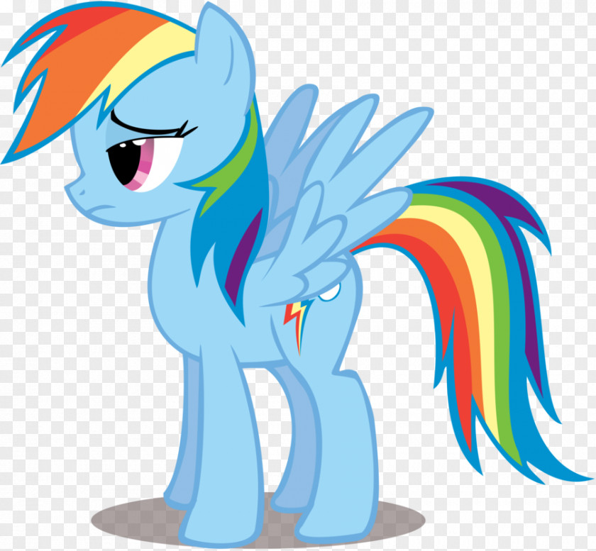Petals Fluttered In Front Rainbow Dash Pinkie Pie Twilight Sparkle Rarity Pony PNG