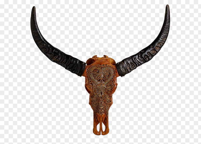 Skull Animal Skulls Cattle Horn PNG
