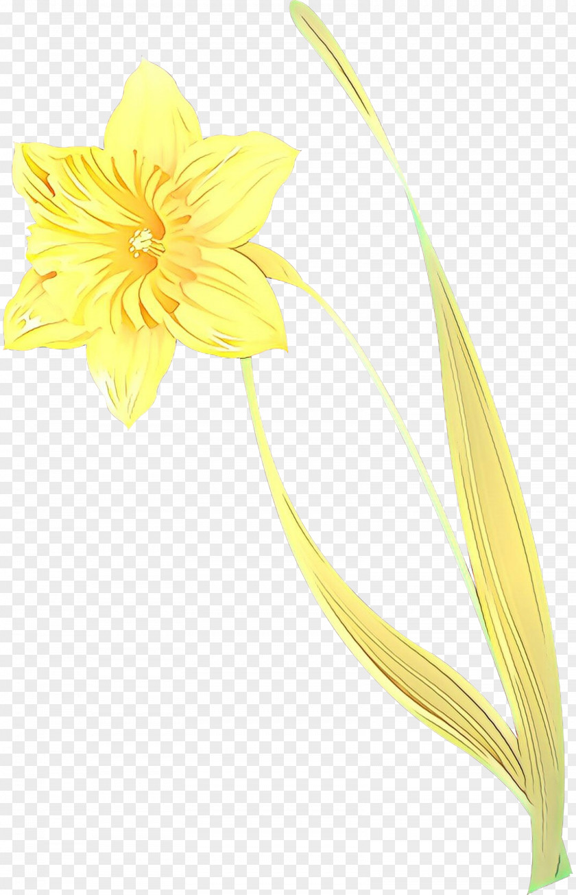 Sunflower Gerbera Flowers Background PNG