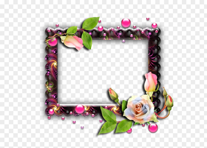 Swishmax Floral Design Picture Frames HTTP Cookie PNG