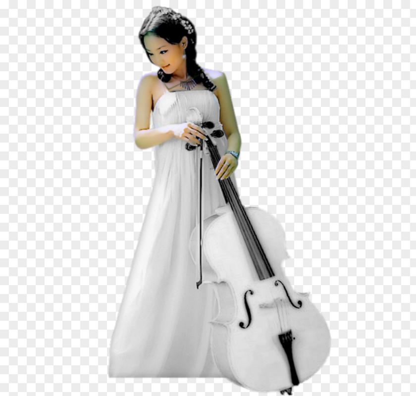 Violin Cello Musical Instruments Woman PNG