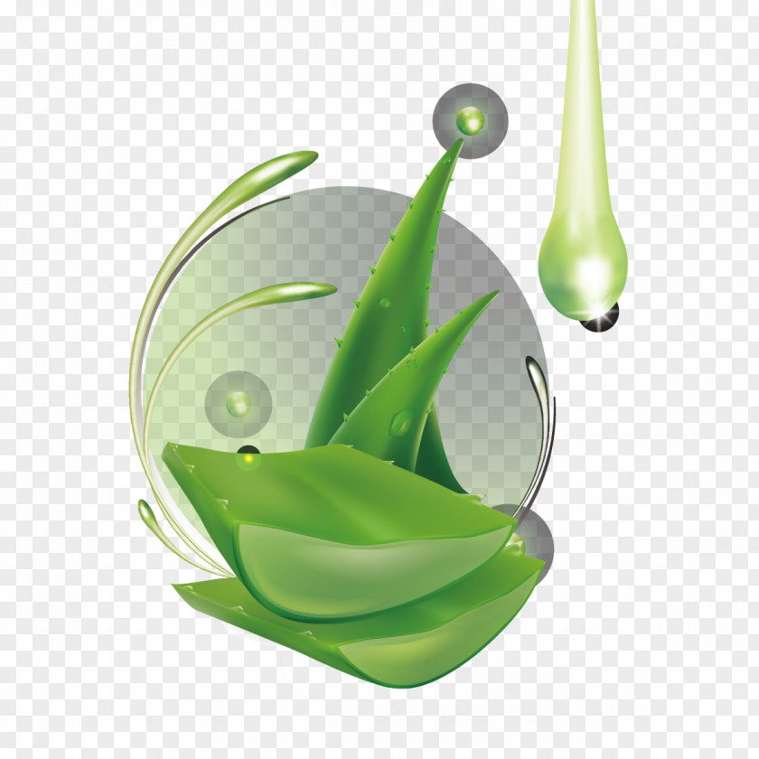 Aloe Leaf And Water Droplets Vera Gel PNG