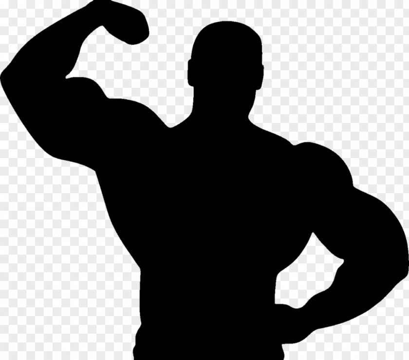 Bodybuilding Physical Fitness Centre Exercise Clip Art PNG