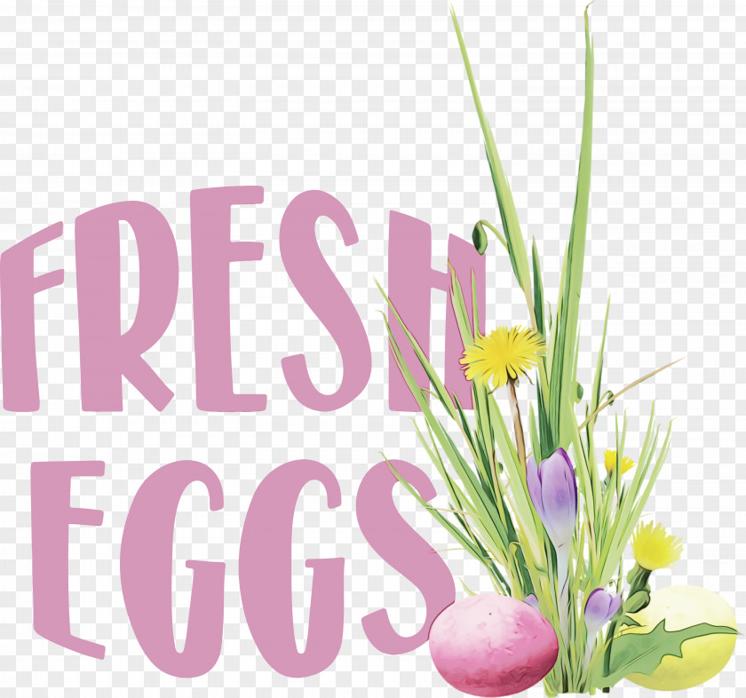 Floral Design PNG