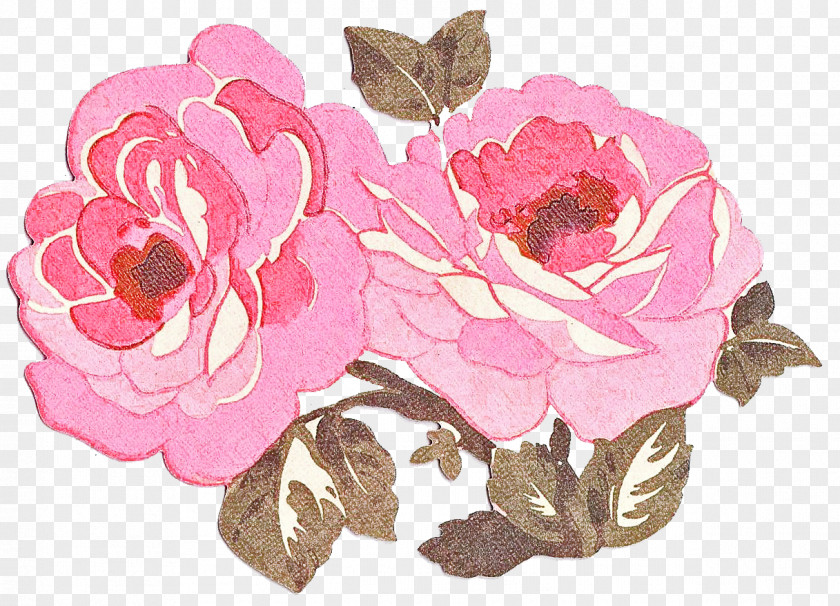 Garden Roses PNG