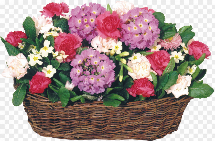 Hydrangea Flowers 8 March Ansichtkaart Animation Holiday PNG