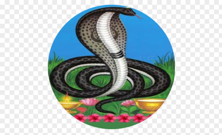 King Cobra Naga Panchami Serpent Nāga Puja PNG