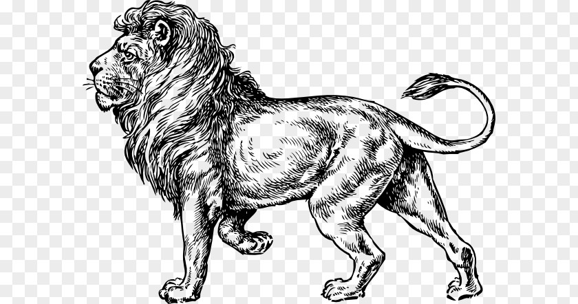 Lion Of Judah Lionhead Rabbit Tattoo Artist Clip Art PNG
