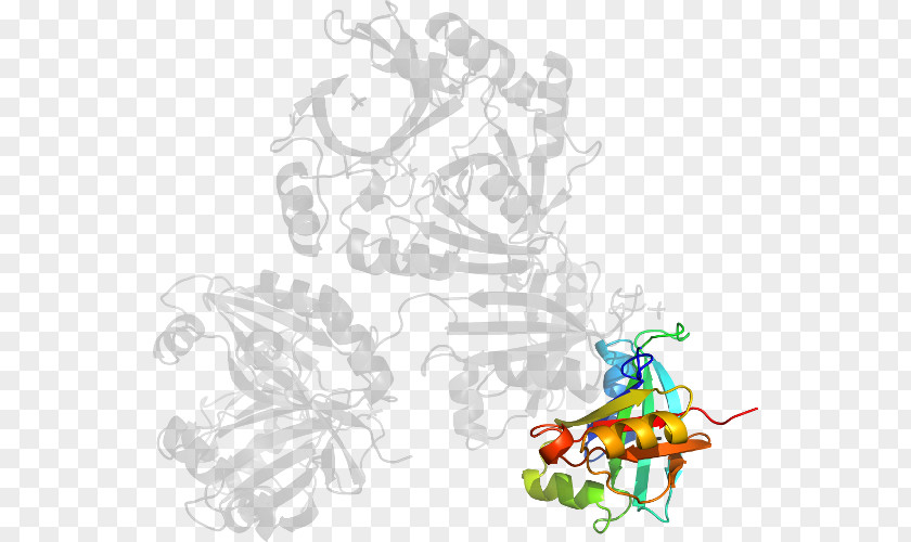 Methylmalonylcoa Graphic Design Line Art Insect Clip PNG