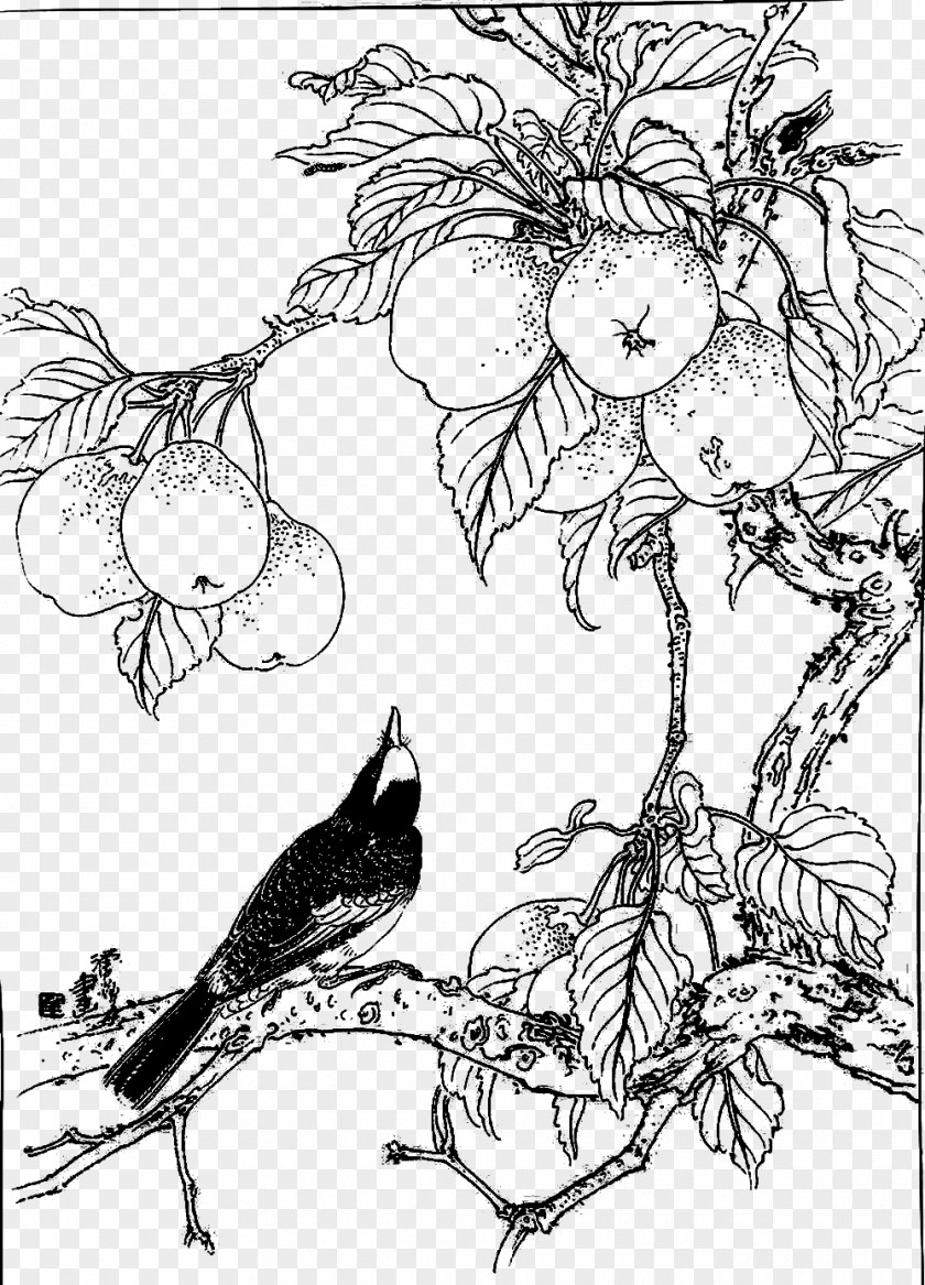 Pear And Crow Asian Visual Arts Crows Black White PNG