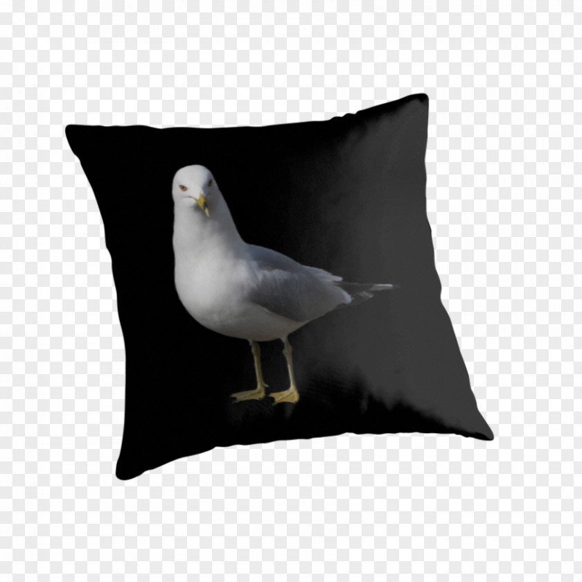 Pillow Throw Pillows Cushion Beak PNG