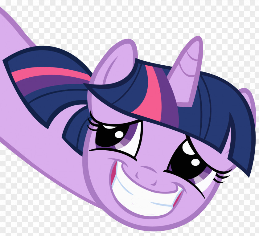 Twilight Sparkle Pony Spike Rainbow Dash Derpy Hooves PNG